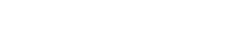 IronCAP logo